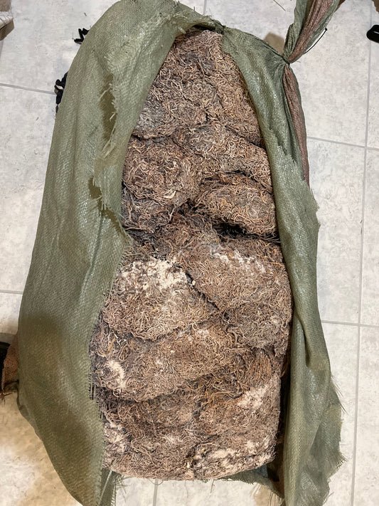 Pure Zanzibar Full Spectrum - Raw Wildcrafted Sea Moss